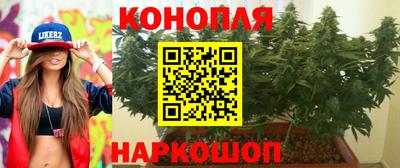 СК Белореченск